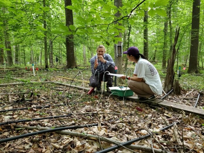 Peter-Regier-taking-soil-gas-samples_20220622_071928_Credit-Alice-Stearns-1024x768